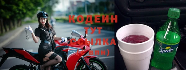 ПСИЛОЦИБИНОВЫЕ ГРИБЫ Кулебаки