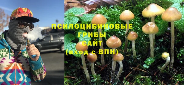 ПСИЛОЦИБИНОВЫЕ ГРИБЫ Кулебаки