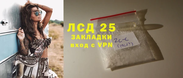 ПСИЛОЦИБИНОВЫЕ ГРИБЫ Кулебаки