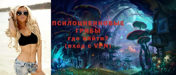 PSILOCYBIN Куйбышев