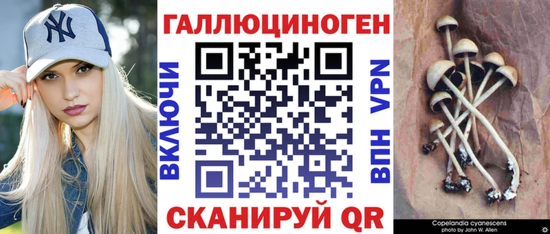 Купить где  Курлово  Псилоцибиновые грибы мицелий 