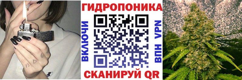 Бошки марихуана MAZAR  Купить закладки  Курлово 